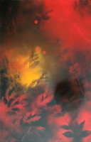 /album/obrazy/vychod-slunce-93x63-akryl-na-descew-jpg/